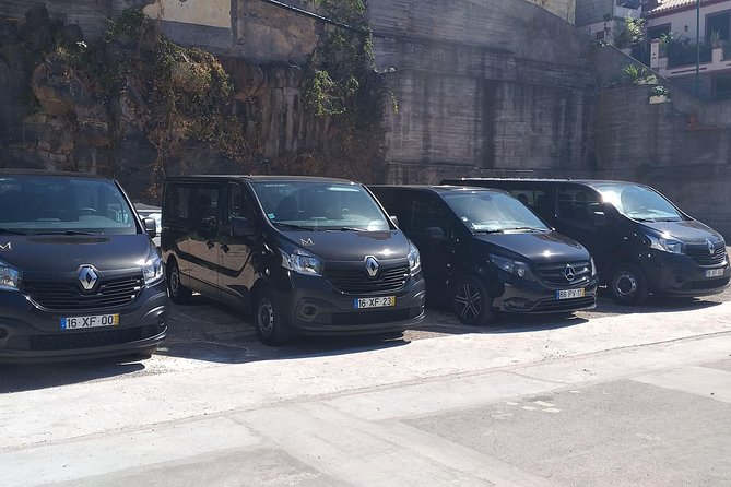 Return Private Transfer Funchal Airport - Madeira Airport to Funchal: The Point of This Transfer