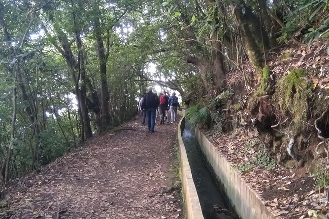 Ribeiro Frio - Portela - Why Ribeiro Frio to Portela feels like the “real Madeira” walk