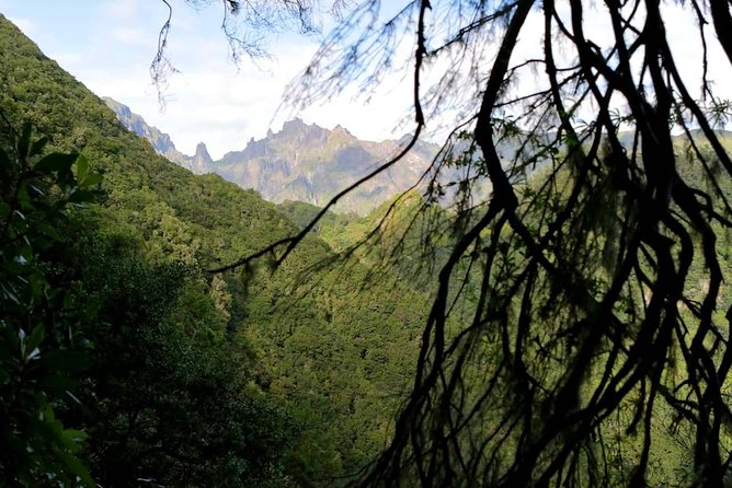 Ribeiro Frio - Portela - When weather changes the route: how the guide keeps the day on track