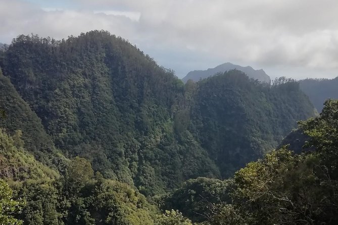 Ribeiro Frio - Portela - Small-group dynamics: what max 16 really changes