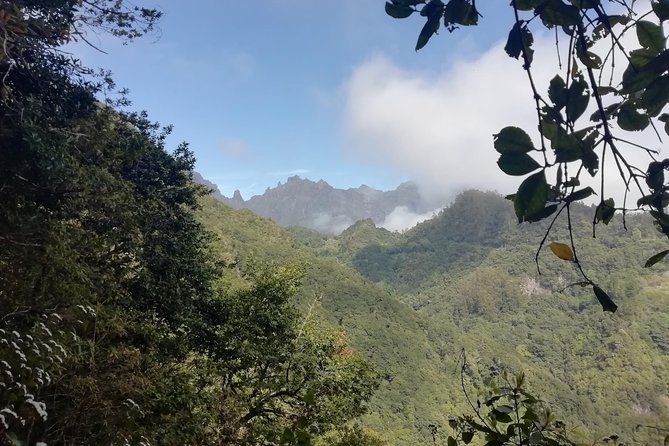 Ribeiro Frio - Portela - Best fit: who will love Ribeiro Frio to Portela