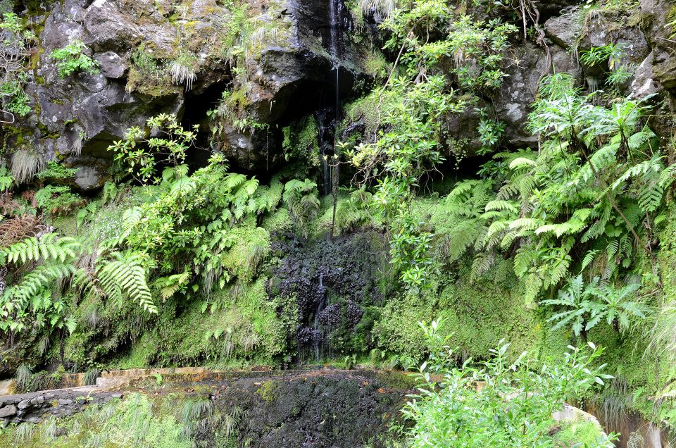 Ribeiro Frio / Portela - Levada Walk - FAQ