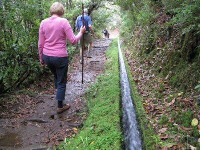 Ribeiro Frio / Portela - Levada Walk - Garden and trout pond time: a breather that doesn’t waste the day