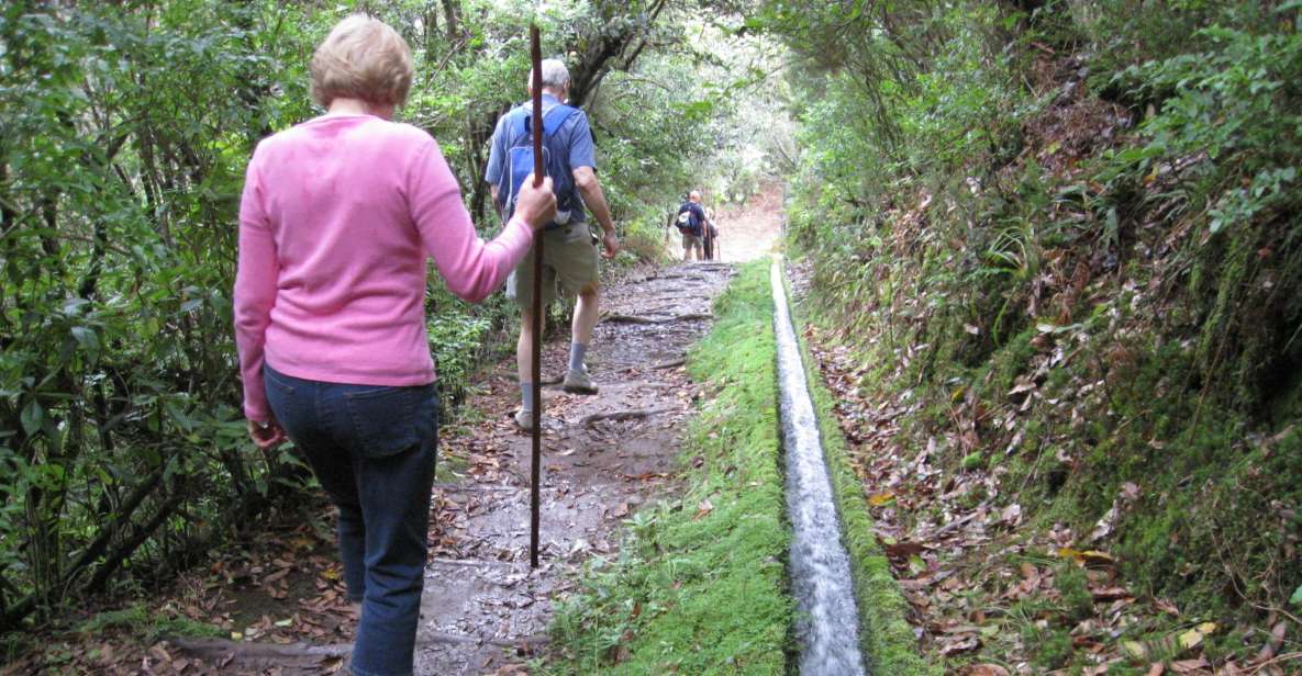 Ribeiro Frio / Portela - Levada Walk - Timing and pace: how “8 hours” may feel on your day
