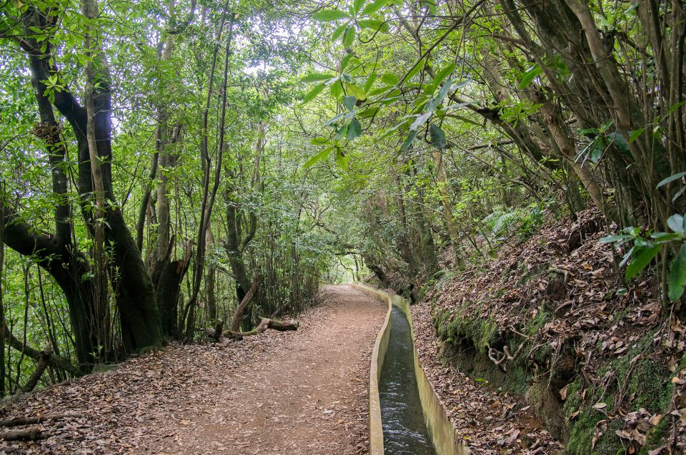 Ribeiro Frio / Portela - Levada Walk - Who this walk suits best