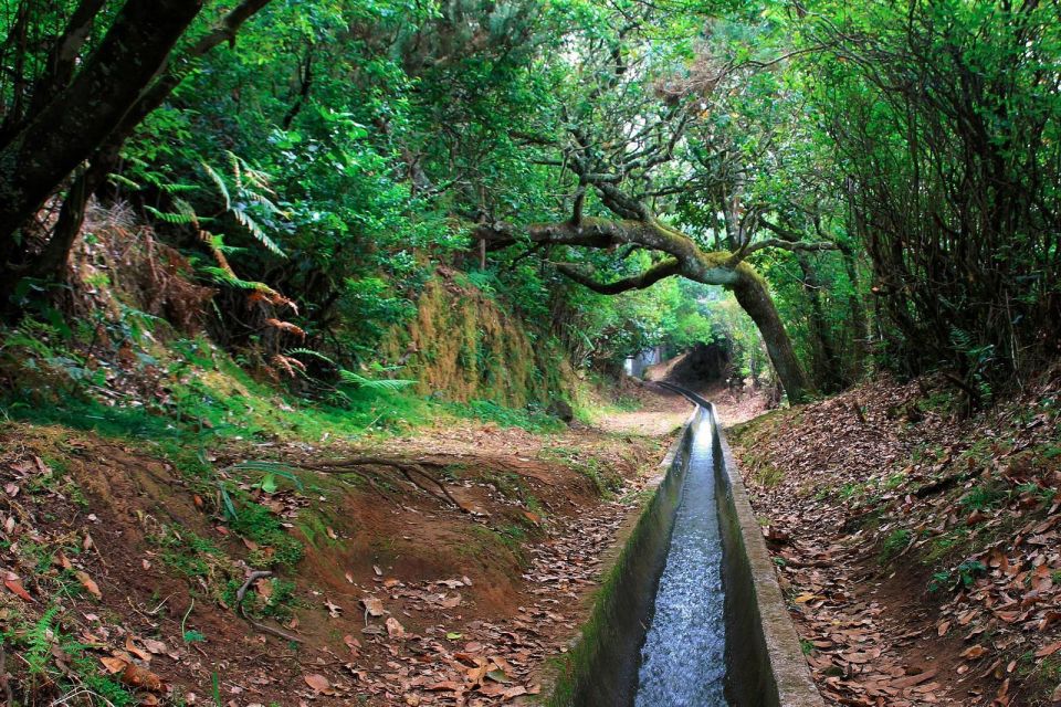 Ribeiro Frio / Portela - Levada Walk - Final call: should you book the Ribeiro Frio / Portela levada walk?