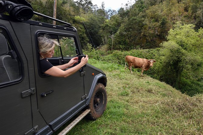 Safari 4x4 Pico Arieiro Santana in Small Group "FlowerEAST" - Price and value: what $78.61 really covers