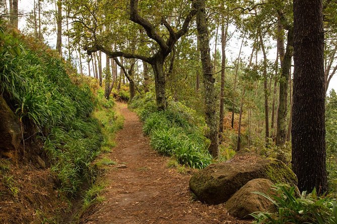SANTANA Combo Expedition (Jeep & Levada Walk) - Shared Tour - Pickup timing: how to avoid the morning scramble