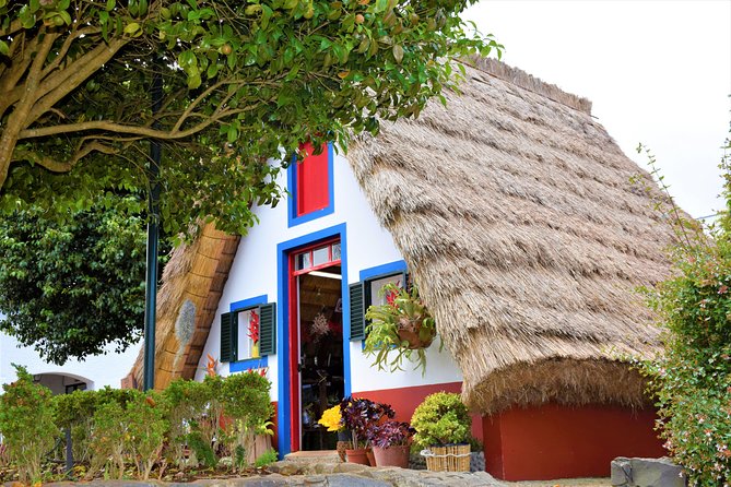 Santana / Typical Houses Tour - Price and Value: $42.14 for a Full Day Out