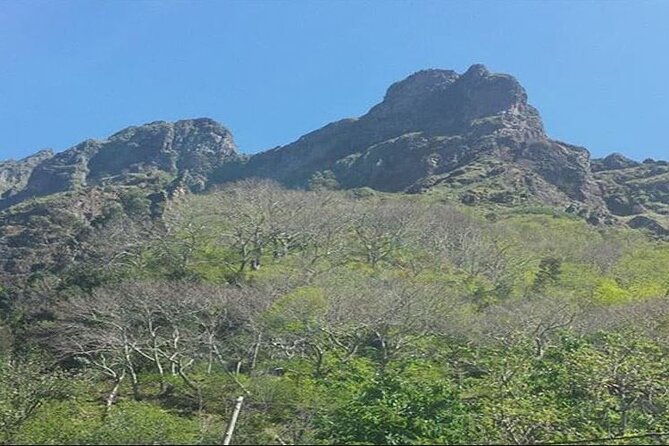 Scenic Route - Nuns Valley Tour - The guide matters: what you’ll remember after the van stops