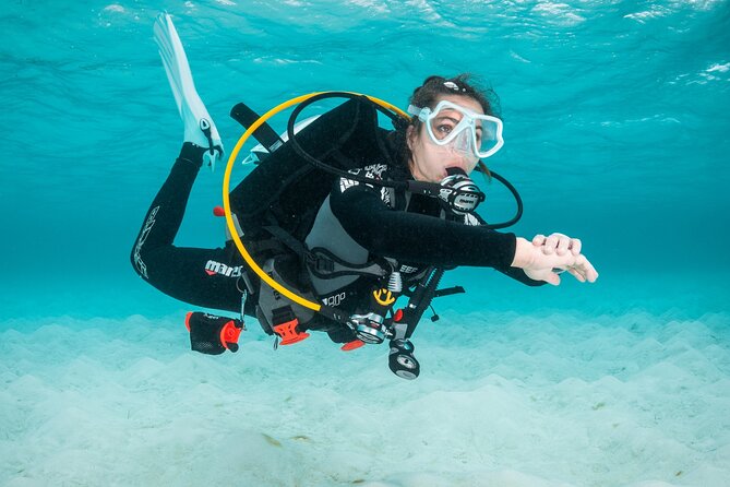 Scuba Diving Experience in Madeira - Classroom Theory: Get the Basics Without Making It a Lecture