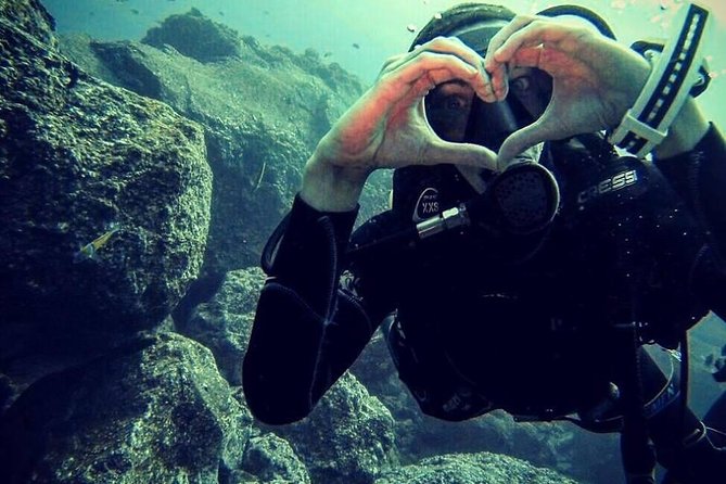 Scuba Diving Experience in Madeira - Your One Open-Water Sea Session: What 12 m Really Means