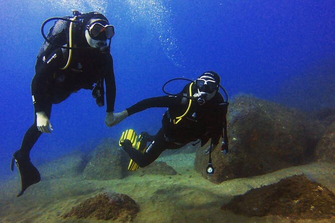 Scuba Diving Experience in Madeira - Certificate of Recognition: What You Actually Get Out of It