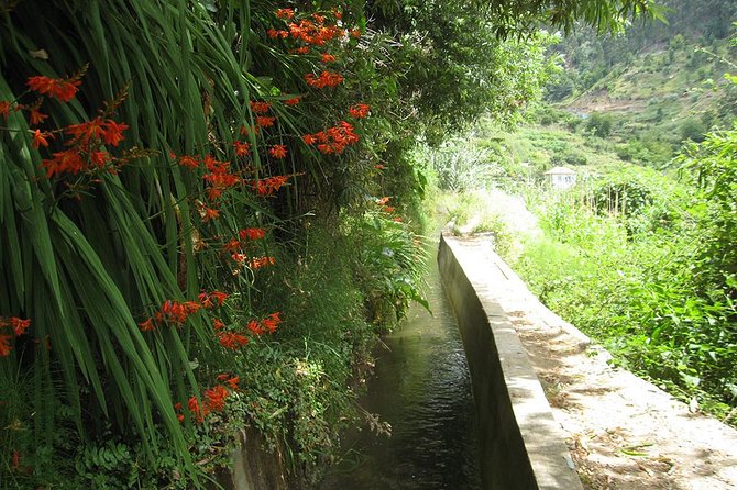Serra D'Água Valley - Levada Walk - Views and Nature: The Parts a Guide Turns Into Real Experiences