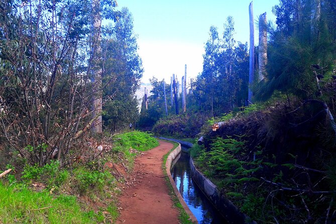 Serra D'Água Valley - Levada Walk - When the Walk Gets Adjusted: Weather and Road Events