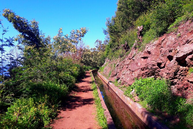 Serra D'Água Valley - Levada Walk - Morning Logistics: How Pickup Makes or Breaks a Madeira Walk