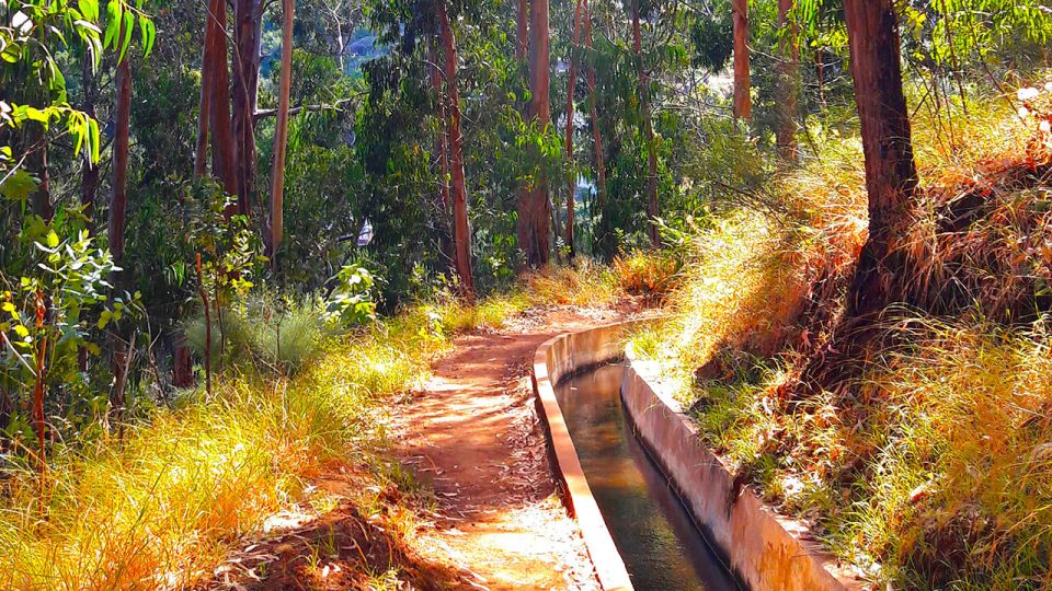 Serra de Água Valley Levada Walk - Key things that make this walk worth your time