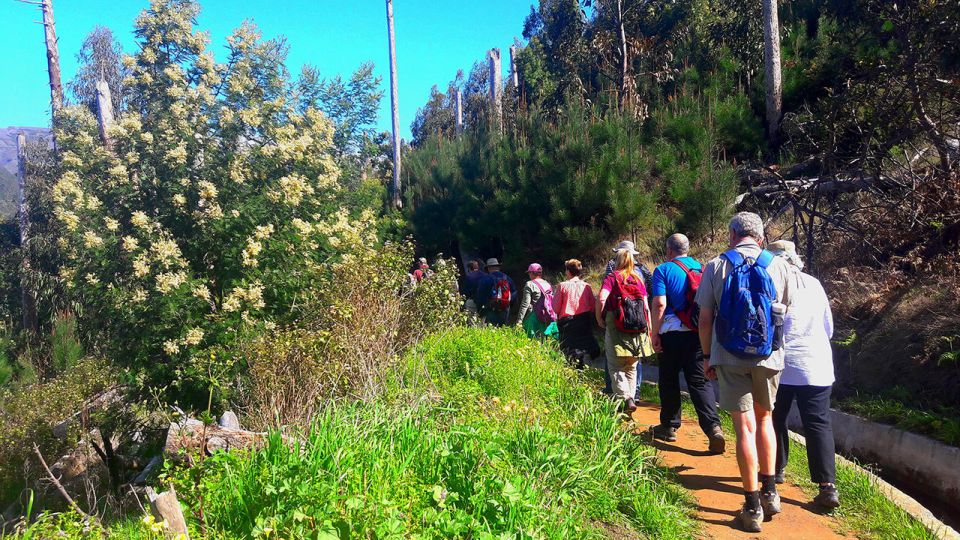 Serra de Água Valley Levada Walk - Serra de Água levada walking: the easy Madeira win