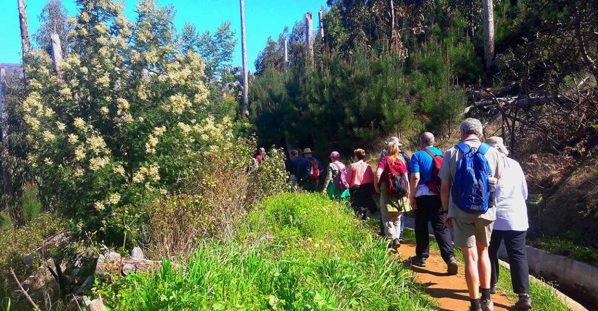 Serra de Água Valley Levada Walk - Views that actually help you understand Madeira