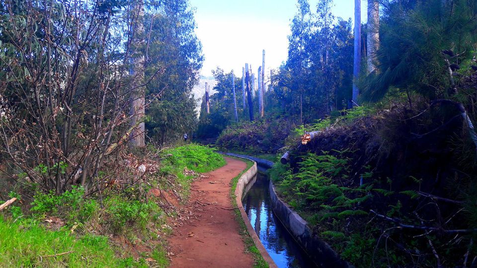 Serra de Água Valley Levada Walk - The guide experience: what makes the levada lessons click