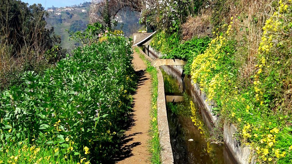 Serra de Água Valley Levada Walk - Price and value: what you’re paying for at $38