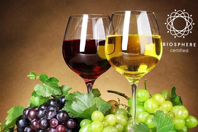 Signature Wine Tastings, Skywalk, Nature 4x4 Open Roof Expedition - Madeira Wine and Off-Road in One Solid 7.5-Hour Block