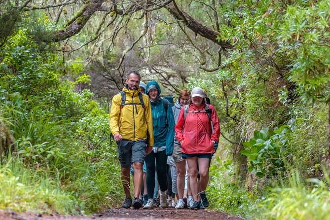 Skywalk 4x4 Experience and Rabacal 25 Fountains Levada Walk - A Real Madeira Mix: Waterfalls, Cliff Views, and 4x4 Roads