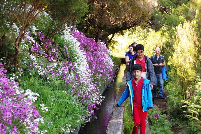 Skywalk 4x4 Experience and Rabacal 25 Fountains Levada Walk - The Tunnel Reality: Bring a Torch for That Dark Start