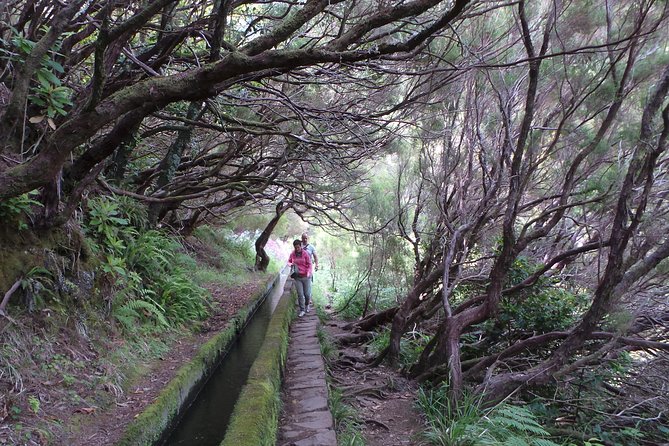 Skywalk 4x4 Experience and Rabacal 25 Fountains Levada Walk - Timing the Waterfalls: When You Arrive Matters
