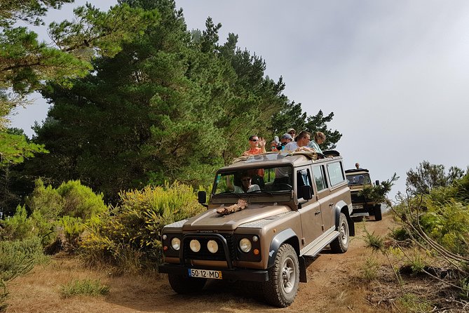 Skywalk 4x4 Experience and Rabacal 25 Fountains Levada Walk - Lunch in the Paul da Serra Area: Fuel That Won’t Derail the Day