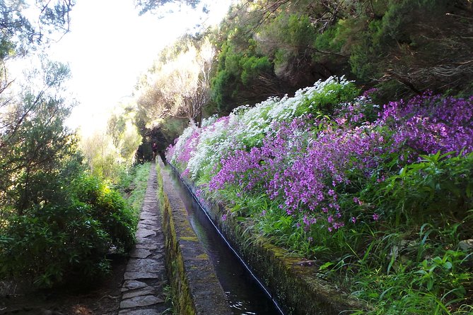 Skywalk 4x4 Experience and Rabacal 25 Fountains Levada Walk - Jeep Time Between Stops: Rugged Roads and Wildlife-Spotting