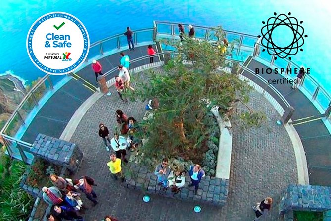 Skywalk, Amazing Views & Wine Tasting in Open Roof 4x4 Adventure - Madeira wine tasting and poncha-style sips: local flavor breaks