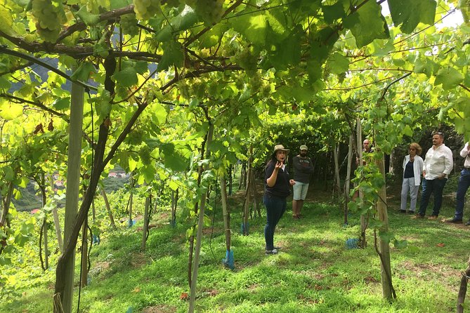 Skywalk with Wines Tasting and Vineyards Half day 4x4 Adventure - Pickup, timing, and what the 4x4 adventure feels like