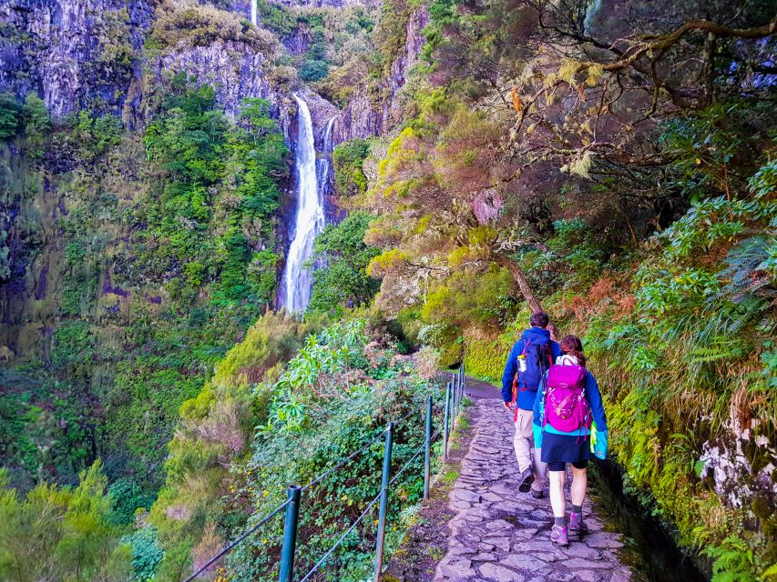 Small Group Walks Rabaçal 25 Fontes - Key Highlights You’ll Actually Notice