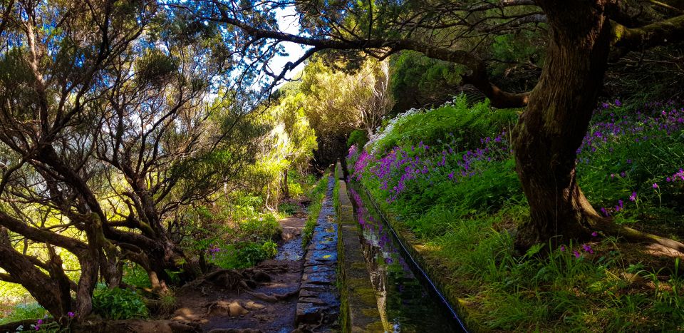 Small Group Walks Rabaçal 25 Fontes - Reaching the 25 Springs Lagoon and Waterfall Payoff