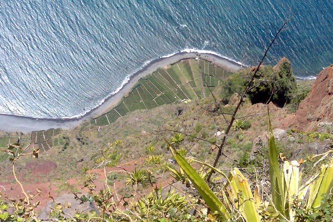 Small Group West Tour Waterfalls & Fanal Forest Tour - Value Check: Price, Entry Fees, and What You Get for €-ish Extras