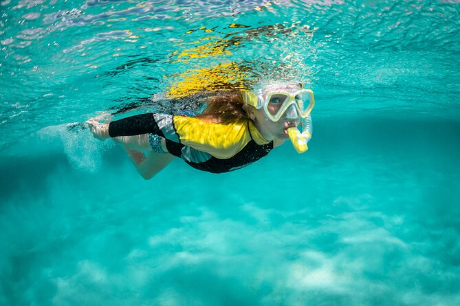 Snorkelling Trip at Ponta de São Lourenço Protected Area - Key things I’d plan around