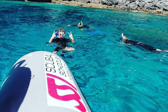 Snorkelling Trip at Ponta de São Lourenço Protected Area - The main swim: what you’ll see near the cliffs
