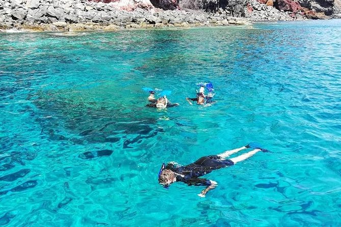 Snorkelling Trip at Ponta de São Lourenço Protected Area - Who this snorkel trip is best for