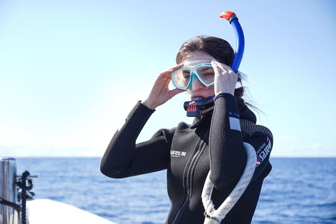 Snorkelling Trip at Ponta de São Lourenço Protected Area - Logistics that can make or break your day