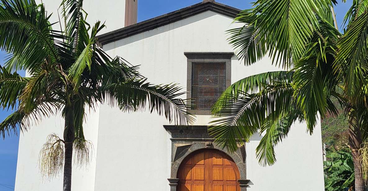 South Madeira: breathtaking coastal trip incl. Porto Moniz. - Madalena do Mar banana plantation walk: shade and a slower rhythm