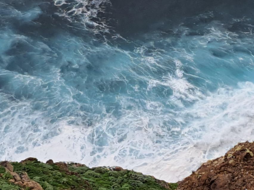 South Madeira: breathtaking coastal trip incl. Porto Moniz. - Paul do Mar: optional lunch, local harbour views, and a waterfall above the sea