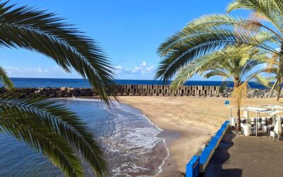 Southwest Madeira: Half-Day Cabriolet Jeep Adventure - Banana terraces and the Rota da Banana: what you’re really seeing