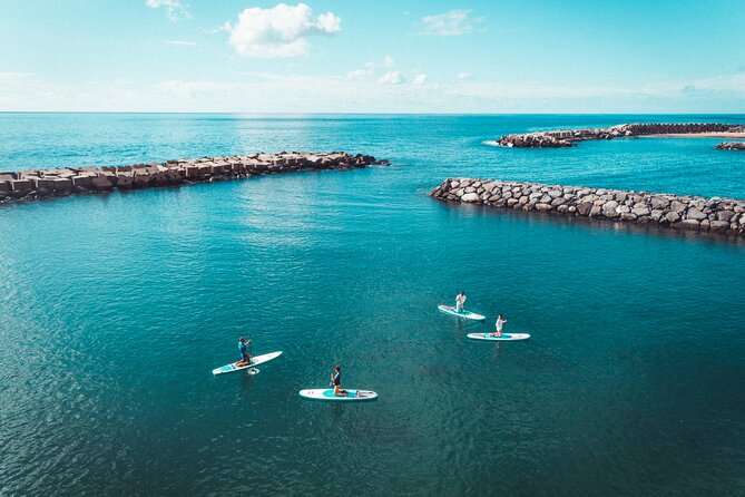 Stand Up Paddle Private Lesson in Calheta Beach - Key highlights