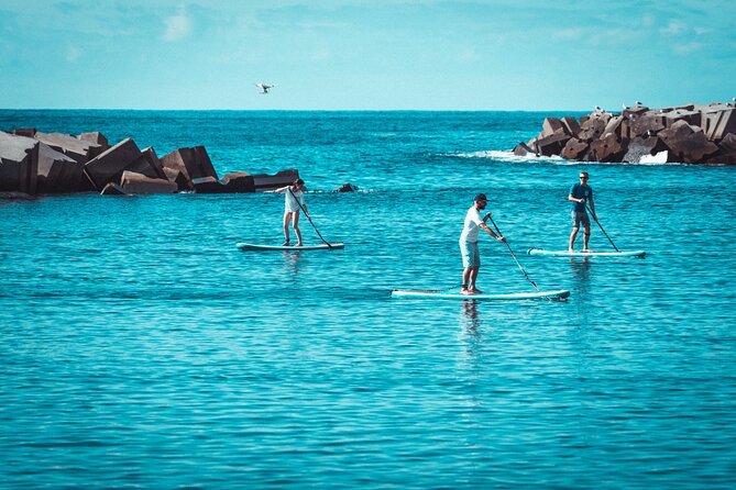 Stand Up Paddle Private Lesson in Calheta Beach - Coaching style: how Rodrigo’s advice helped a first-timer feel steady