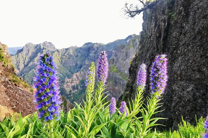 Sunrise Guided Hike PR1 Pico do Areeiro Pico Ruivo small group - The Pickup Plan: Getting You Off the Ground Without Stress
