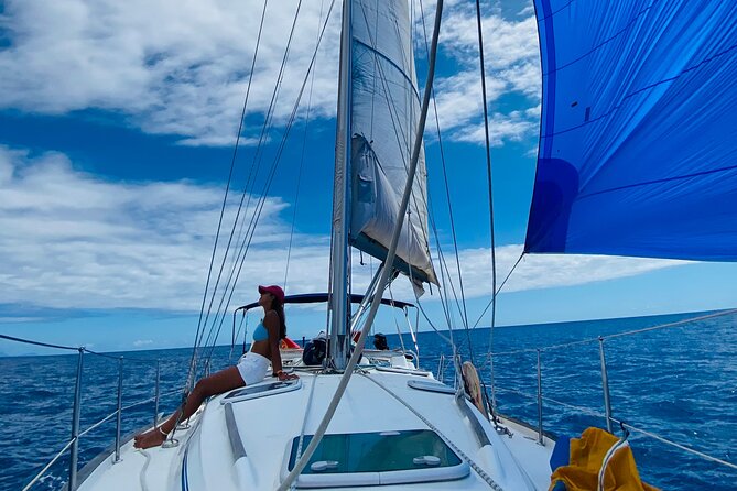 Sunrise, Sunset & Moonlight private Sailing Cruises in Madeira - Weather, sea conditions, and how to plan around them