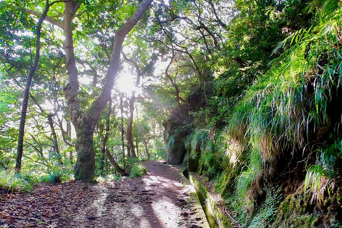 Sunrise Tour @ Pico Do Areiro | Half Day 4x4 Tour - 4x4 adventure value: what you pay for (and what you actually get)