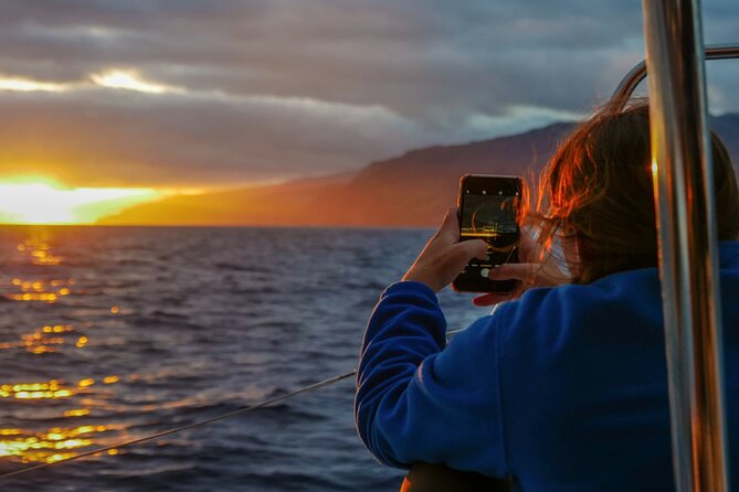Sunset Catamaran Tour l Madeira Island - Key Highlights You’ll Actually Care About