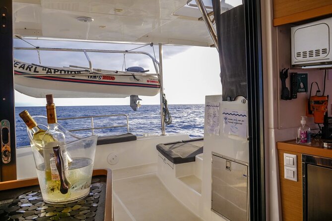 Sunset Catamaran Tour l Madeira Island - Watching cetaceans along the way (and how to think about it)